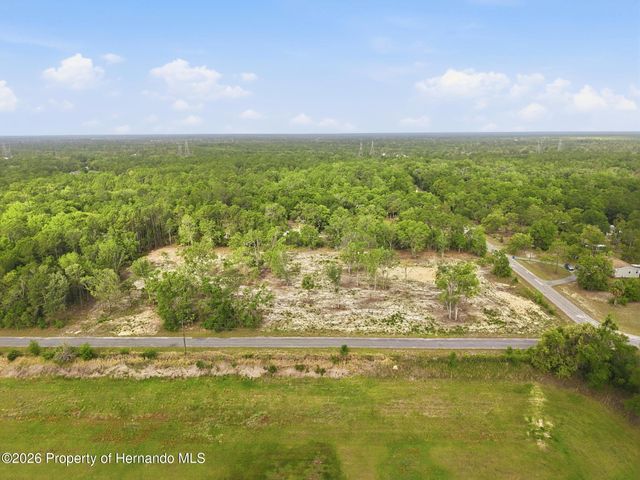 14235 Carolina Dove Road, Weeki Wachee, FL 34614