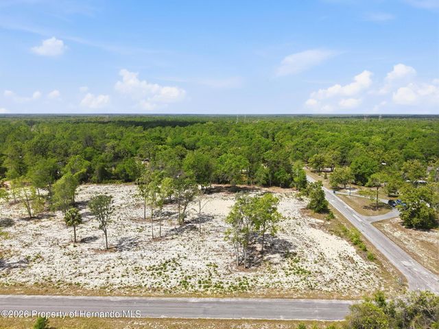14235 Carolina Dove Road, Weeki Wachee, FL 34614