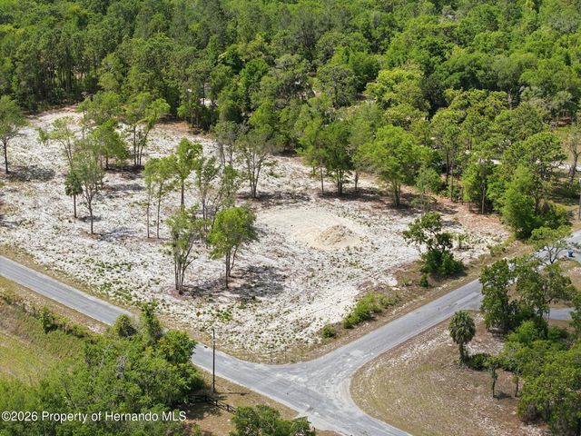 14235 Carolina Dove Road, Weeki Wachee, FL 34614