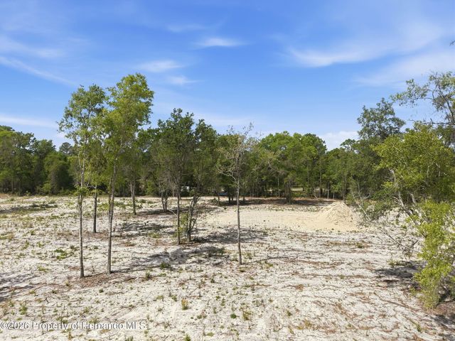 14235 Carolina Dove Road, Weeki Wachee, FL 34614