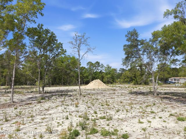 14235 Carolina Dove Road, Weeki Wachee, FL 34614