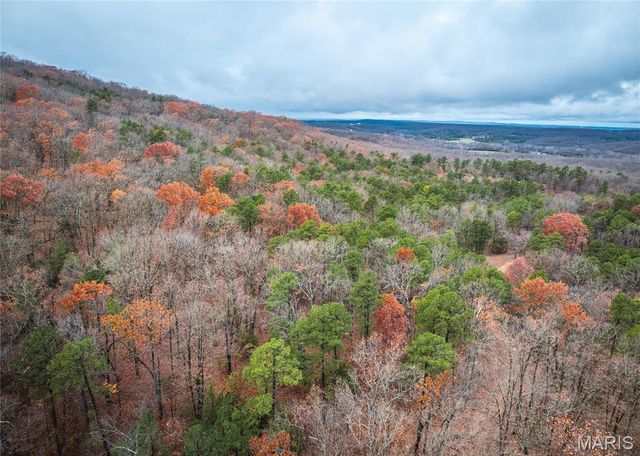 1950 Lake Forest Drive-Tract 1, Park Hills, MO 63601