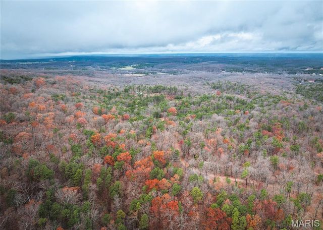 1950 Lake Forest Drive-Tract 1, Park Hills, MO 63601