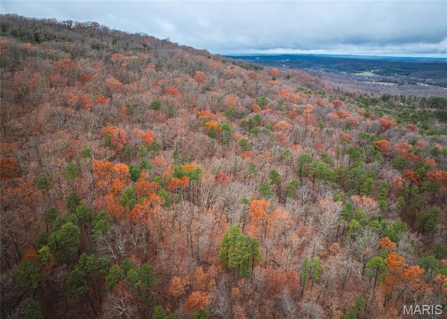 1950 Lake Forest Drive-Tract 1, Park Hills, MO 63601