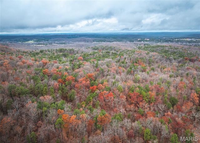 1950 Lake Forest Drive-Tract 1, Park Hills, MO 63601