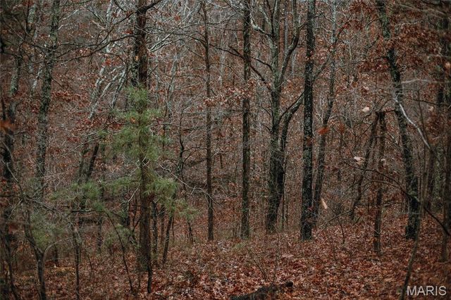 1950 Lake Forest Drive-Tract 1, Park Hills, MO 63601