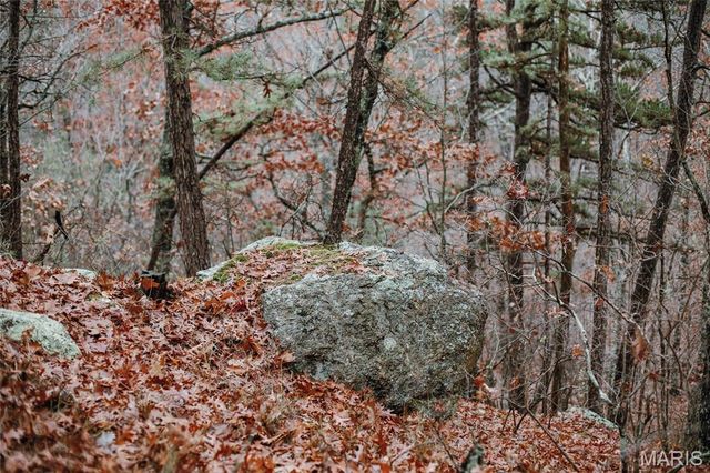 1950 Lake Forest Drive-Tract 1, Park Hills, MO 63601