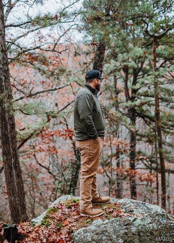 1950 Lake Forest Drive-Tract 1, Park Hills, MO 63601