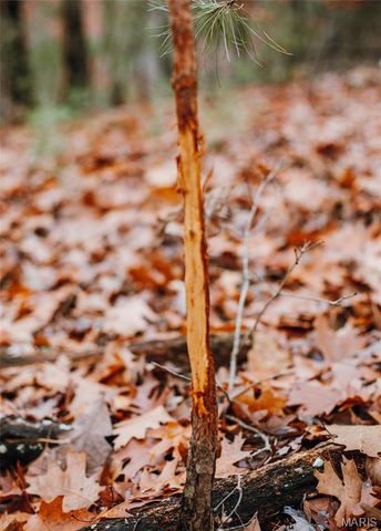 1950 Lake Forest Drive-Tract 1, Park Hills, MO 63601