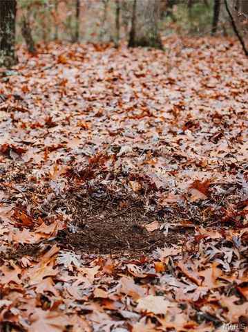 1950 Lake Forest Drive-Tract 1, Park Hills, MO 63601