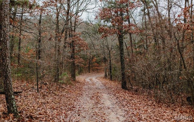 1950 Lake Forest Drive-Tract 1, Park Hills, MO 63601