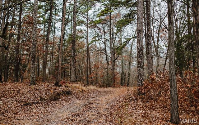 1950 Lake Forest Drive-Tract 1, Park Hills, MO 63601