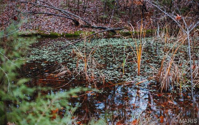 1950 Lake Forest Drive-Tract 1, Park Hills, MO 63601