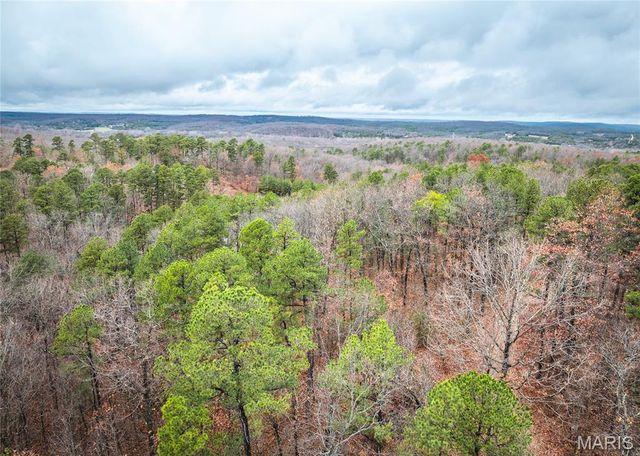 1950 Lake Forest Drive-Tract 1, Park Hills, MO 63601