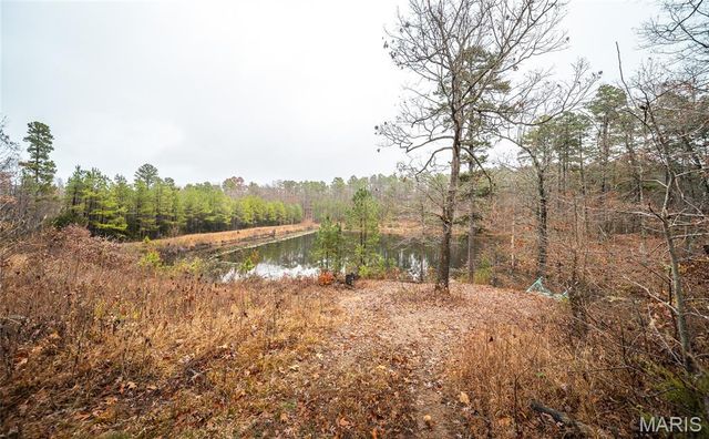 1950 Lake Forest Drive-Tract 1, Park Hills, MO 63601