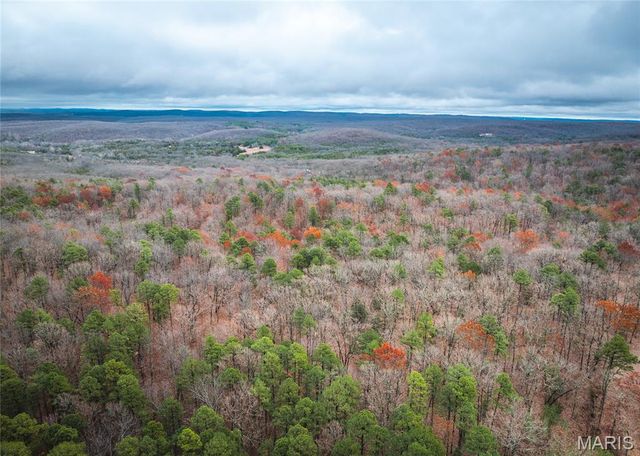 1950 Lake Forest Drive-Tract 1, Park Hills, MO 63601