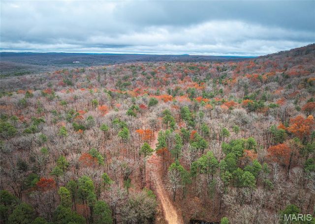 1950 Lake Forest Drive-Tract 1, Park Hills, MO 63601