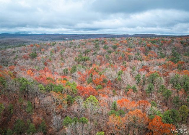 1950 Lake Forest Drive-Tract 1, Park Hills, MO 63601