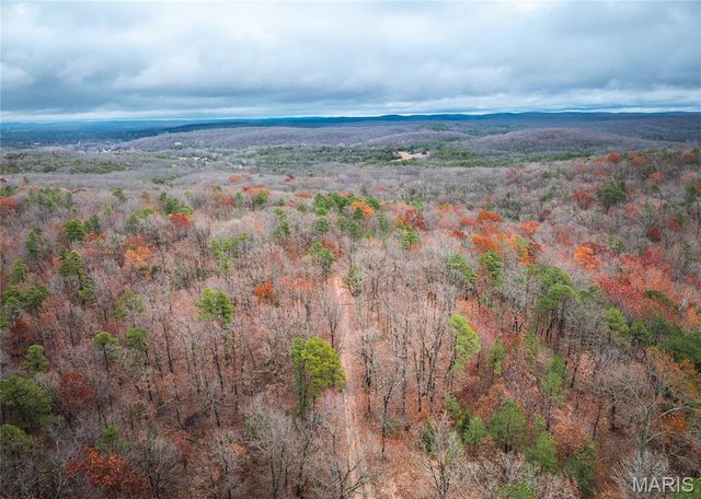 1950 Lake Forest Drive-Tract 1, Park Hills, MO 63601