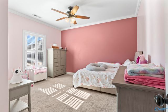 106 Buck Grass Circle, Harvest, AL 35749