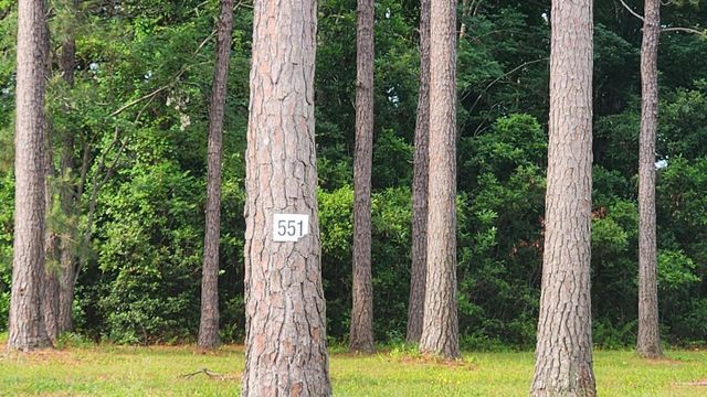 1152 Fiddlehead Way, Myrtle Beach, SC 29579
