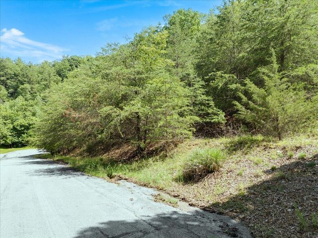 Lot123&124 Dixon DR, Hardy, VA 24101