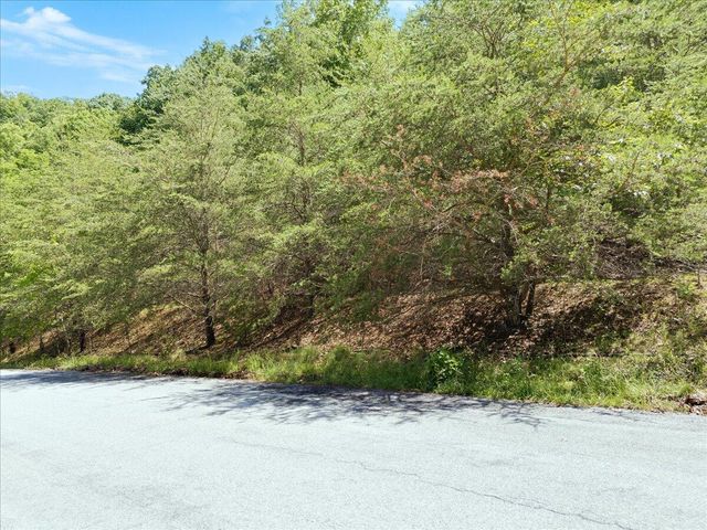 Lot123&124 Dixon DR, Hardy, VA 24101