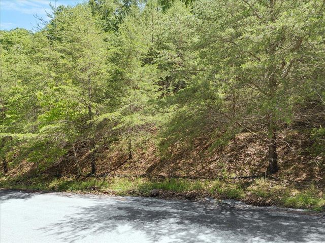 Lot123&124 Dixon DR, Hardy, VA 24101