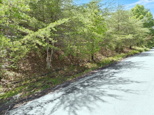 Lot123&124 Dixon DR, Hardy, VA 24101