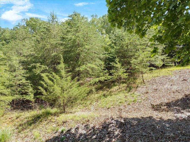 Lot123&124 Dixon DR, Hardy, VA 24101