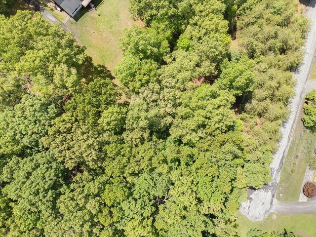 Lot123&124 Dixon DR, Hardy, VA 24101
