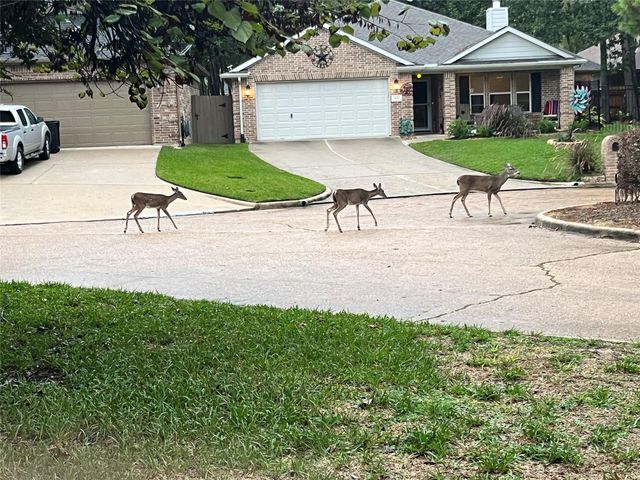 3619 Woodland Lane, Montgomery, TX 77356