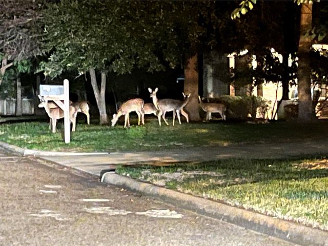 3619 Woodland Lane, Montgomery, TX 77356