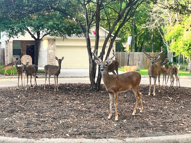 3619 Woodland Lane, Montgomery, TX 77356