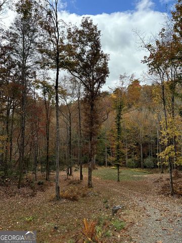 LOT 16 Shelton Springs Drive 16, Hayesville, NC 28904