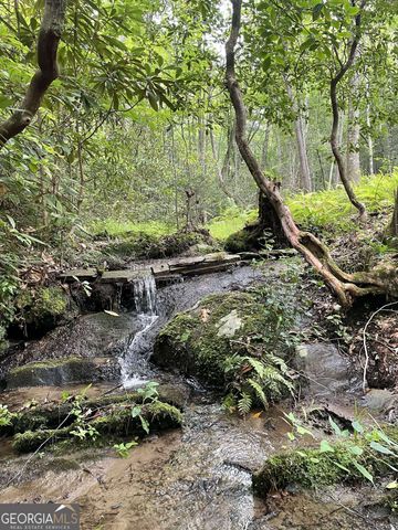 LOT 16 Shelton Springs Drive 16, Hayesville, NC 28904