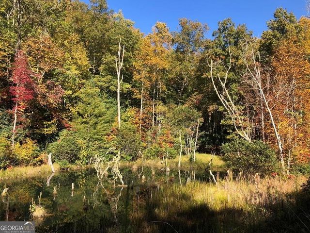 LOT 16 Shelton Springs Drive 16, Hayesville, NC 28904