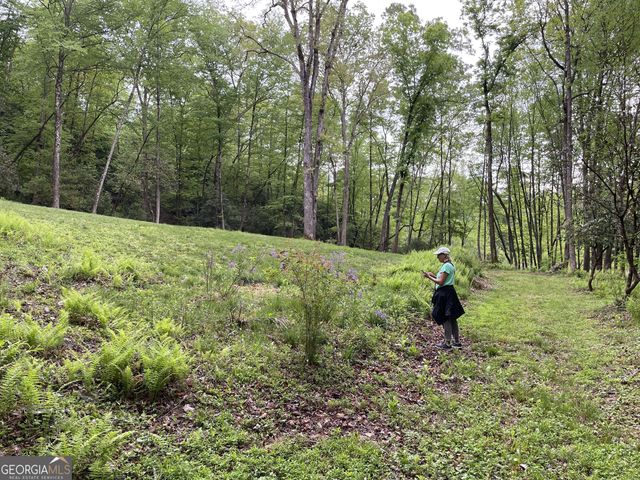 LOT 16 Shelton Springs Drive 16, Hayesville, NC 28904