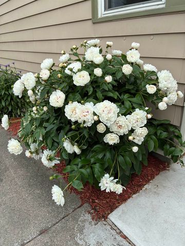 905 N Dewitt Street, Bay City, MI 48706