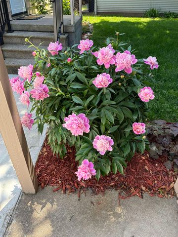 905 N Dewitt Street, Bay City, MI 48706