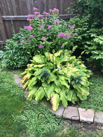 905 N Dewitt Street, Bay City, MI 48706