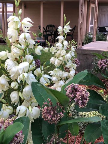 905 N Dewitt Street, Bay City, MI 48706