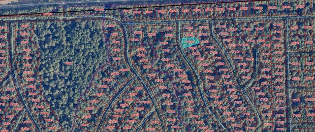 TBD Indian Trail Drive, Hempstead, TX 77445