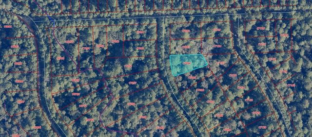 TBD Indian Trail Drive, Hempstead, TX 77445