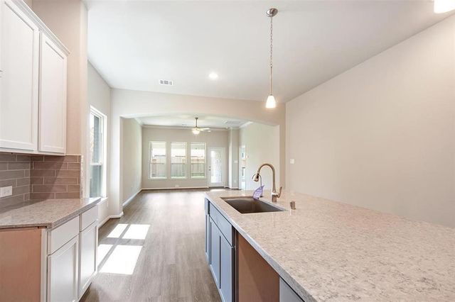 1435 Cecilia Vines Drive, Conroe, TX 77301