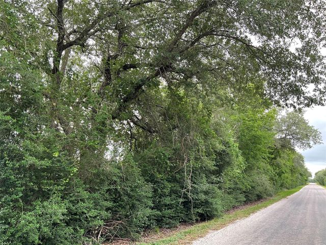 TBD Cr 449/Francitas Road, Francitas, TX 77961