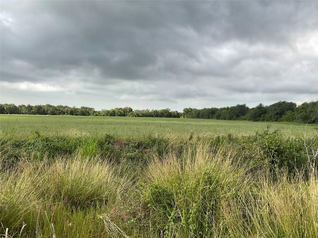 TBD Cr 449/Francitas Road, Francitas, TX 77961