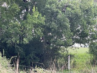 TBD Cr 449/Francitas Road, Francitas, TX 77961