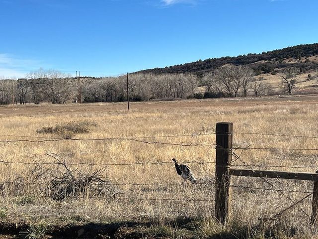 Lot 79 County Rd 113, Rye, CO 81069