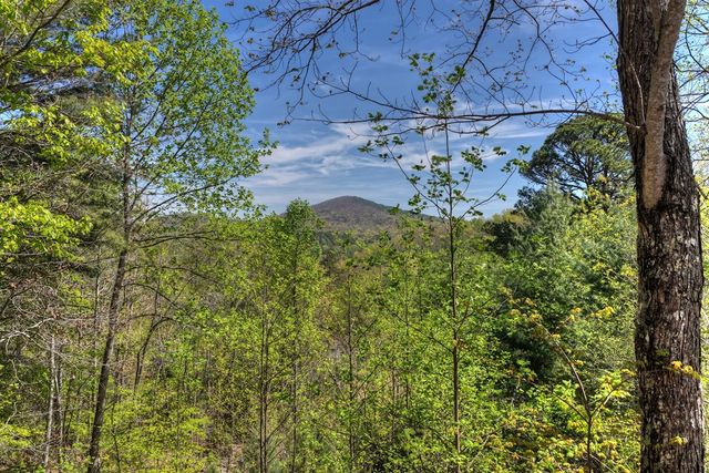 305 Kimbolton Drive, Morganton, GA 30560